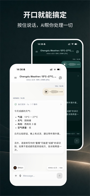 语音输入后由 Hermes 回答